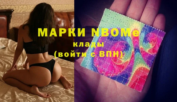 бошки Бронницы